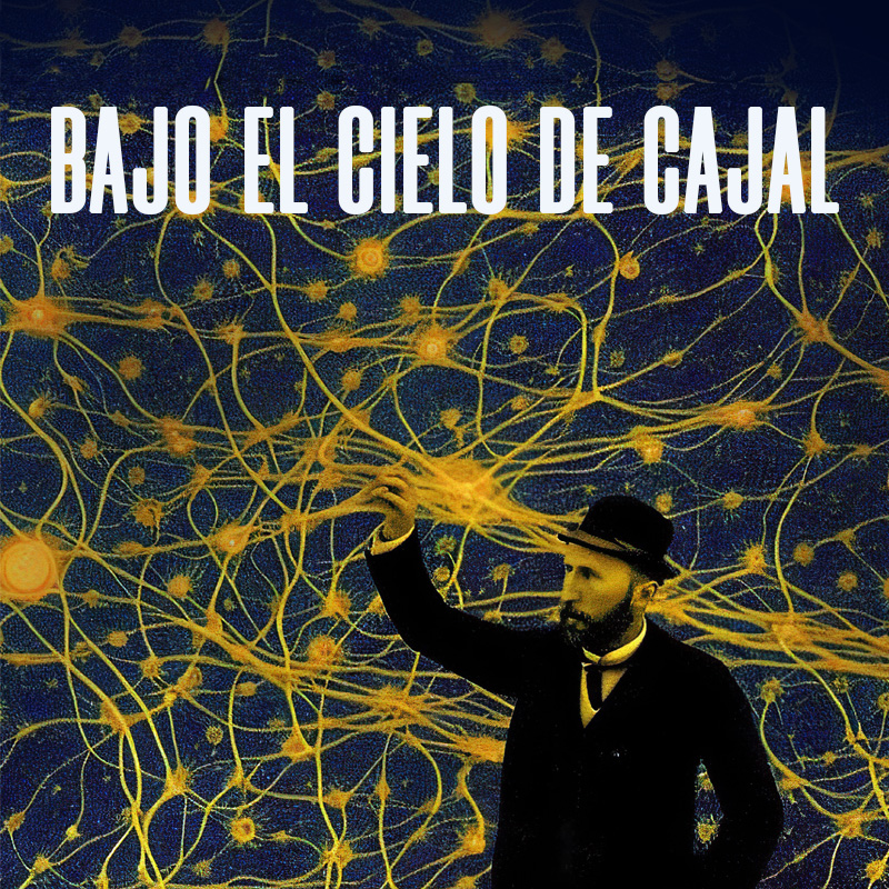 HOY A LAS 18:30H. PRESENTAMOS EL NUEVO AUDIOVISUAL "BAJO EL CIELO DE CAJAL", estáis todos y todas invitados a descubrir los cielos bajo los que se inspiró el neurocientífico Santiago Miguel y Cajal.  ENTRADA GRATUITA

*Recogida de invitaciones 1 hora antes de comenzar la sesión.