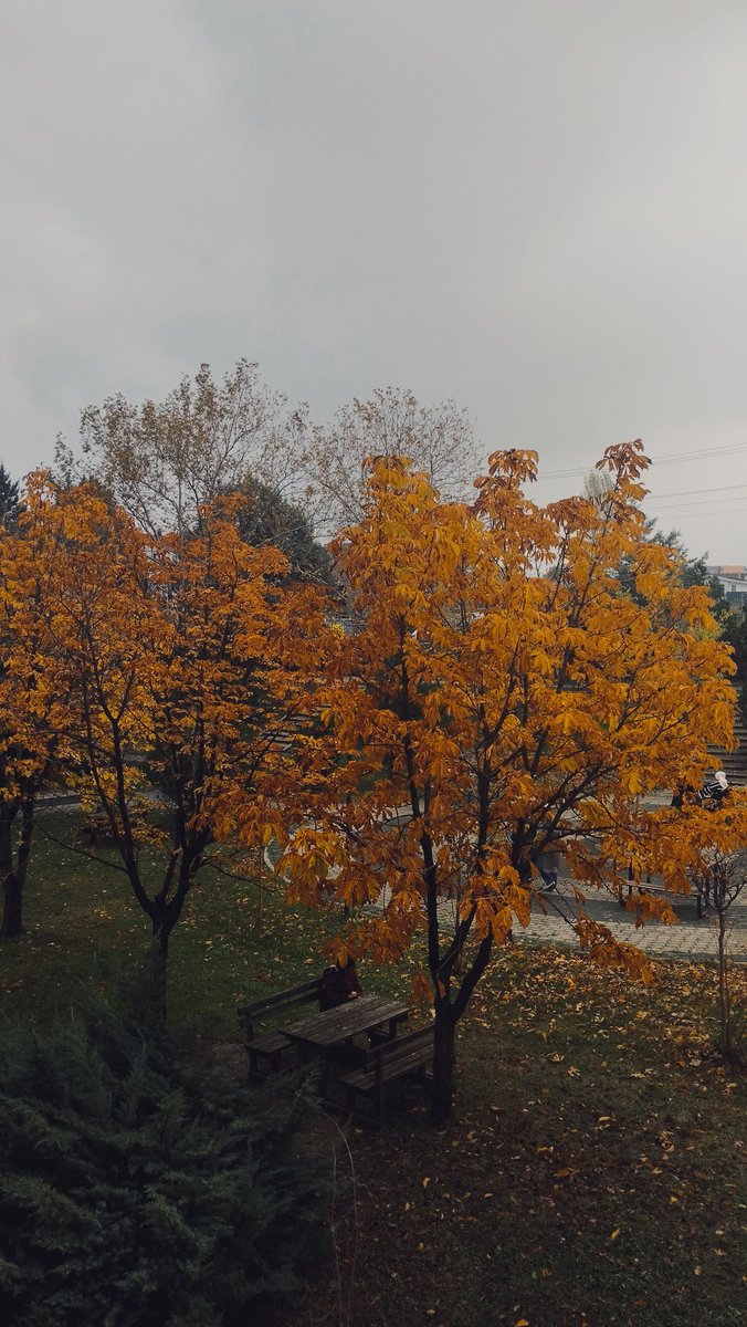 "Aralık"
