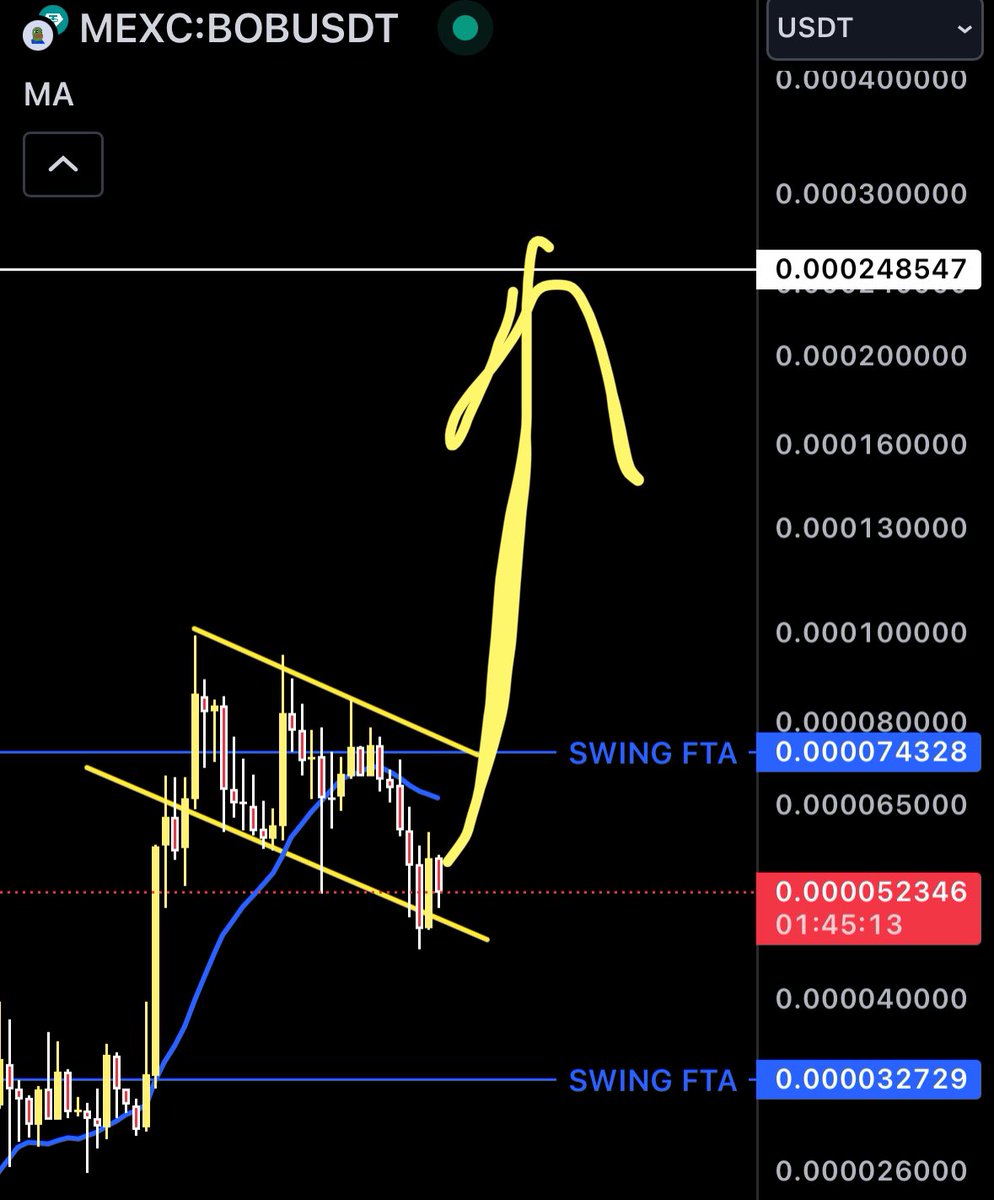 AmiCatCrypto's tweet photo. READY 👊

$BOB LFG 🔥

#memecoins https://t.co/mIj8EJ9x6P