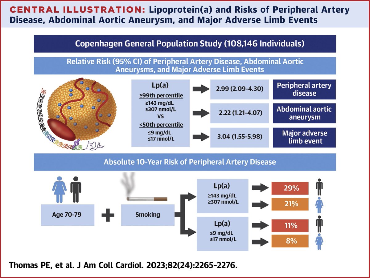 Dr Rani Khatib FESC (@drranikhatib) on Twitter photo We need to check Lp(a) more frequently to better assess CVD risk.
High Lp(a) levels increased risk of PAD, AAA, and MALE by 2- to 3-fold in the general population.
jacc.org/doi/10.1016/j.…
<a href="/abi_hell/">Abi Barrowcliff</a> <a href="/MikeWM/">Michael Matchinske</a> <a href="/heartukcharity/">HEART UK</a> <a href="/AliaAwni1/">Alia Awni</a> We need to check Lp(a) more frequently to better assess CVD risk.
High Lp(a) levels increased risk of PAD, AAA, and MALE by 2- to 3-fold in the general population.
jacc.org/doi/10.1016/j.…
<a href="/abi_hell/">Abi Barrowcliff</a> <a href="/MikeWM/">Michael Matchinske</a> <a href="/heartukcharity/">HEART UK</a> <a href="/AliaAwni1/">Alia Awni</a>