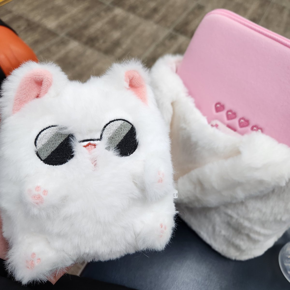 고죠냥과...함께 새벽을 보내러 서울갑니당 슝슝