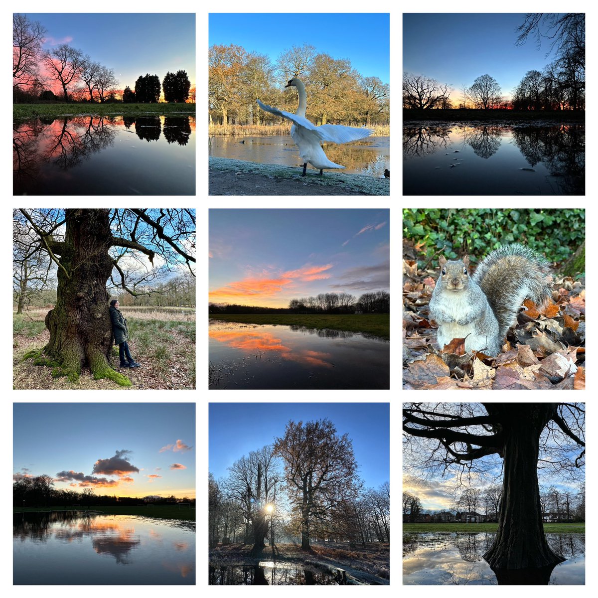 Finished work - return 8/1/24. Wishing everyone a relaxing #Christmas time as is possible. Images of places I work #outdoors : @OurTurnMoss @DunhamMasseyNT @Longford_Park #365dayswild #wellbeing #nature #therapy #mindfulness #therapistsconnect #selfcare #mentalhealth #health