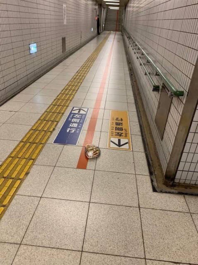 パラノーマルちゃんねる tweet media