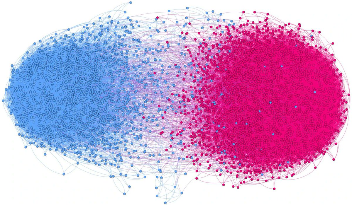 Dit is de visualisatie van een #echokamer. Er kunnen online inderdaad gepolariseerde kampen ontstaan. Maar het laat ook zien dat het geen afgesloten bubbels zijn: er lopen wel degelijk lijntjes tussen de twee kampen. Wat leert dit ons? Bron: link.springer.com/article/10.100… #polarisatie