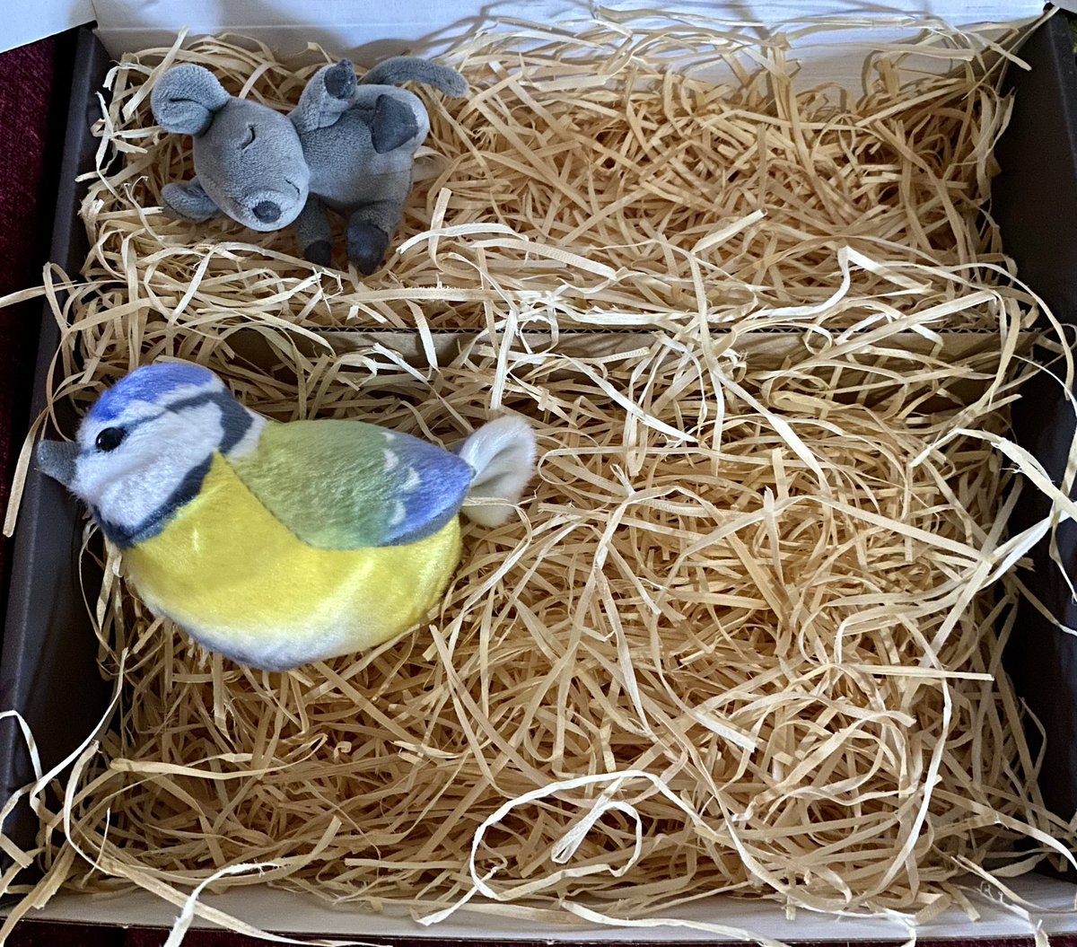 Nein Tante Ejay, du kannst ein Weihnachtsgeschenk in dieses Karton nicht packen. Die #reisemeise und ich haben einen tollen neuen Nest gefunden.