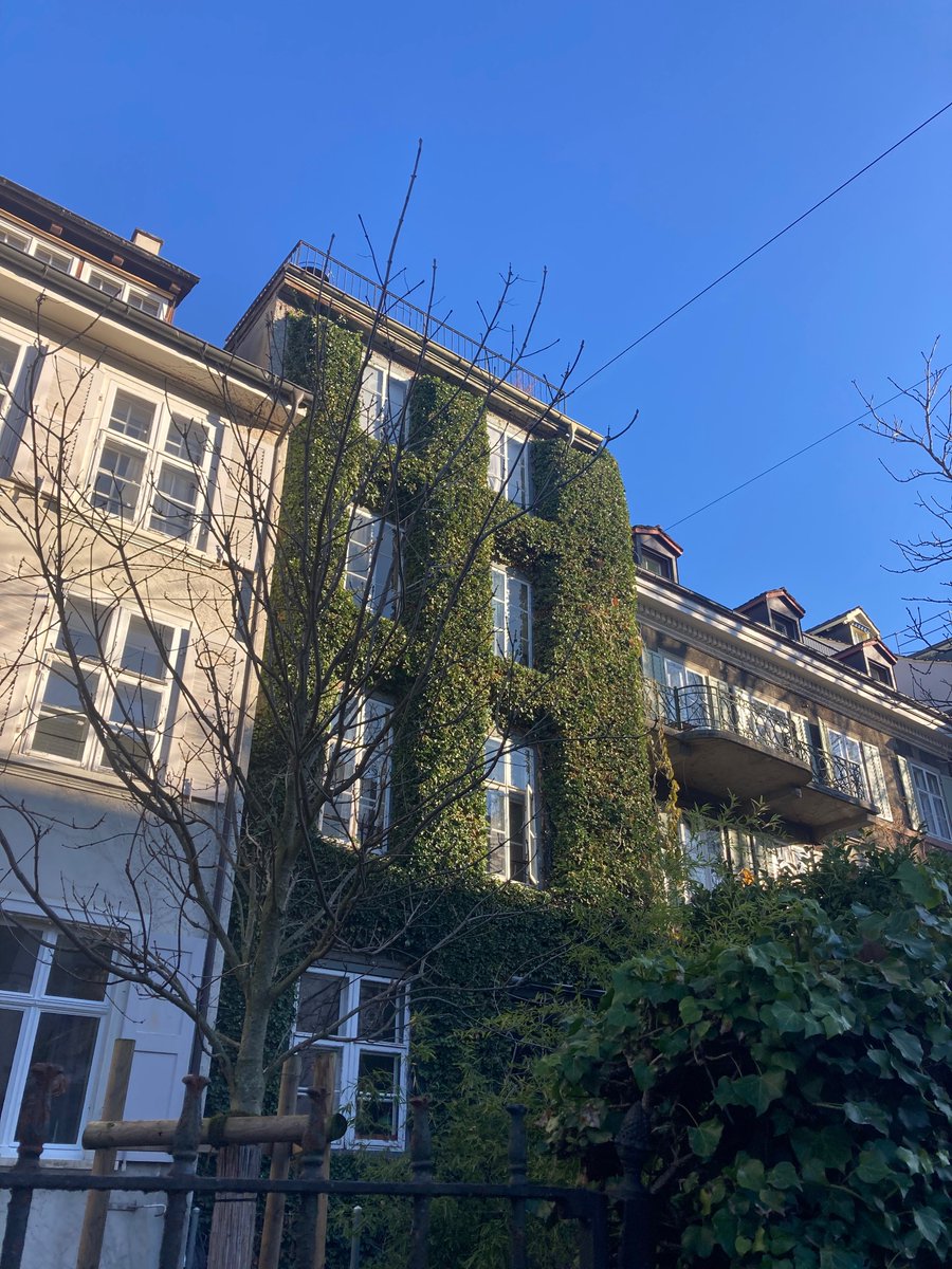 Travelling home for Christmas with a little festive stop in Basel while being accompanied by brilliant books &amp; meeting lovely people on the way…