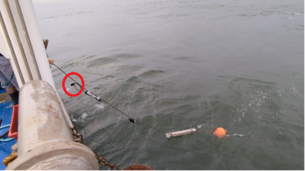 NetTagProject's tweet photo. 👏The new tag we are testing has enabled the recovery of a @UniofNewcastle mooring lost during Storm Babet in Northumberland Coast 🇬🇧. We saved invaluable scientific equipment &amp; data on dolphin and porpoise behavior🐬

👉https://t.co/0f1vxSw2VY

#NETTAG #HorizonEU #MissionOcean https://t.co/vVbpZdvVGR