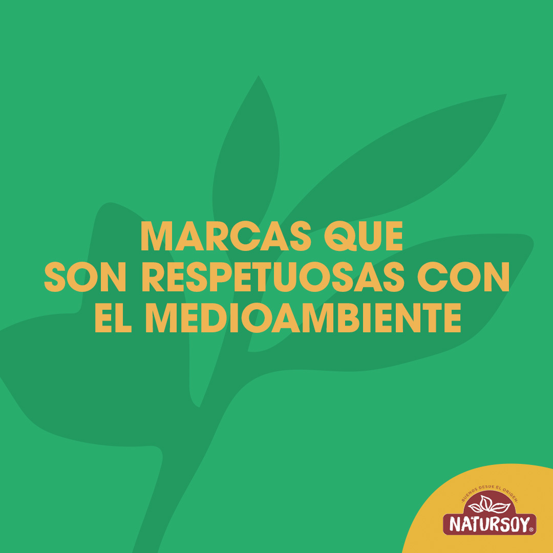 NATURSOY's tweet photo. 🌍🌳 ¿#SabíasQue la industria de la moda es una de las más contaminantes del mundo? Pero no todo está perdido, ¡podemos hacer una diferencia con nuestras decisiones de compra! 💚🙌 https://t.co/TMOZ7Y66O0