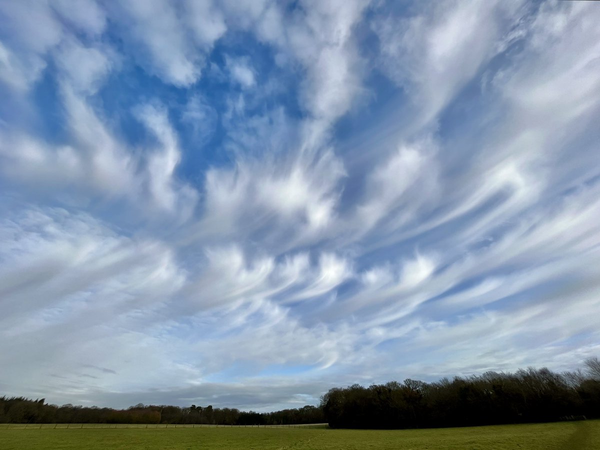 WalkingTractor tweet media