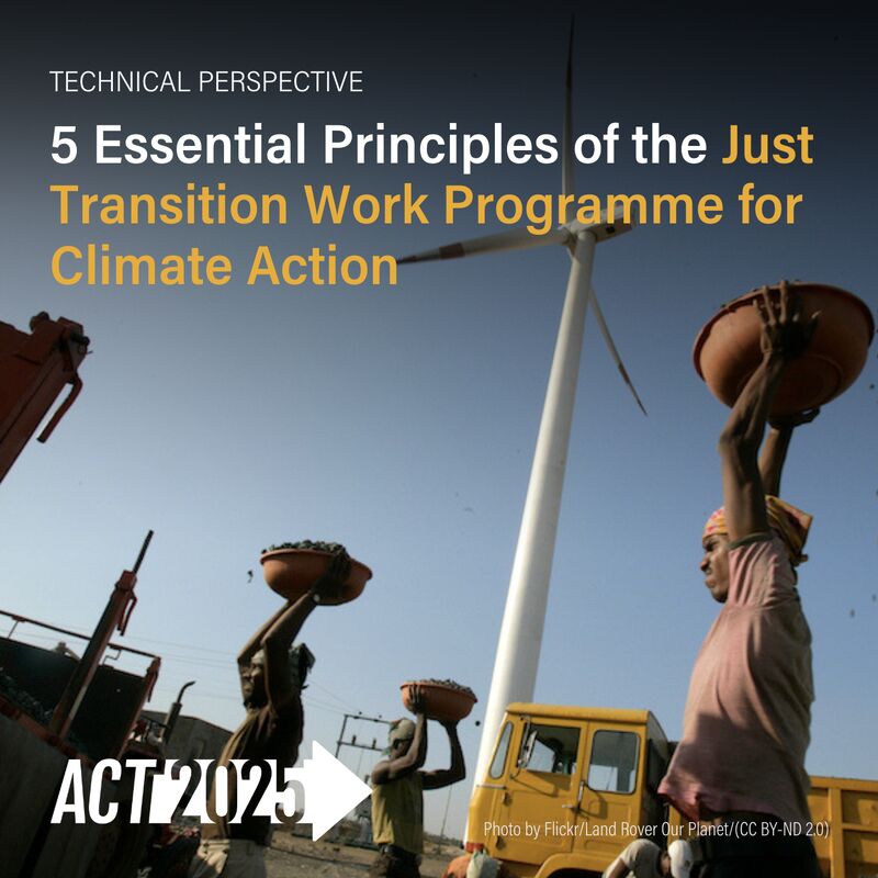 Dive into discussions on the #JustTransition Work Programme—a turning point for global cooperation. #ACT2025 unveils 5 key elements, spotlighting their implications for vulnerable developing countries.  

🔗 bit.ly/3TqvYbb