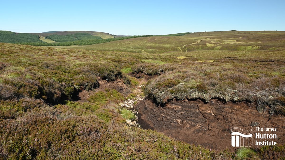 It’s a year since we carried out #peatland restoration work at our research farm, Glensaugh Monitoring shows great progress - reducing #emissions, boosting #biodiversity & aiding regenerative #catchment management. A vital hub for peatland research More: bit.ly/4ar5dt0