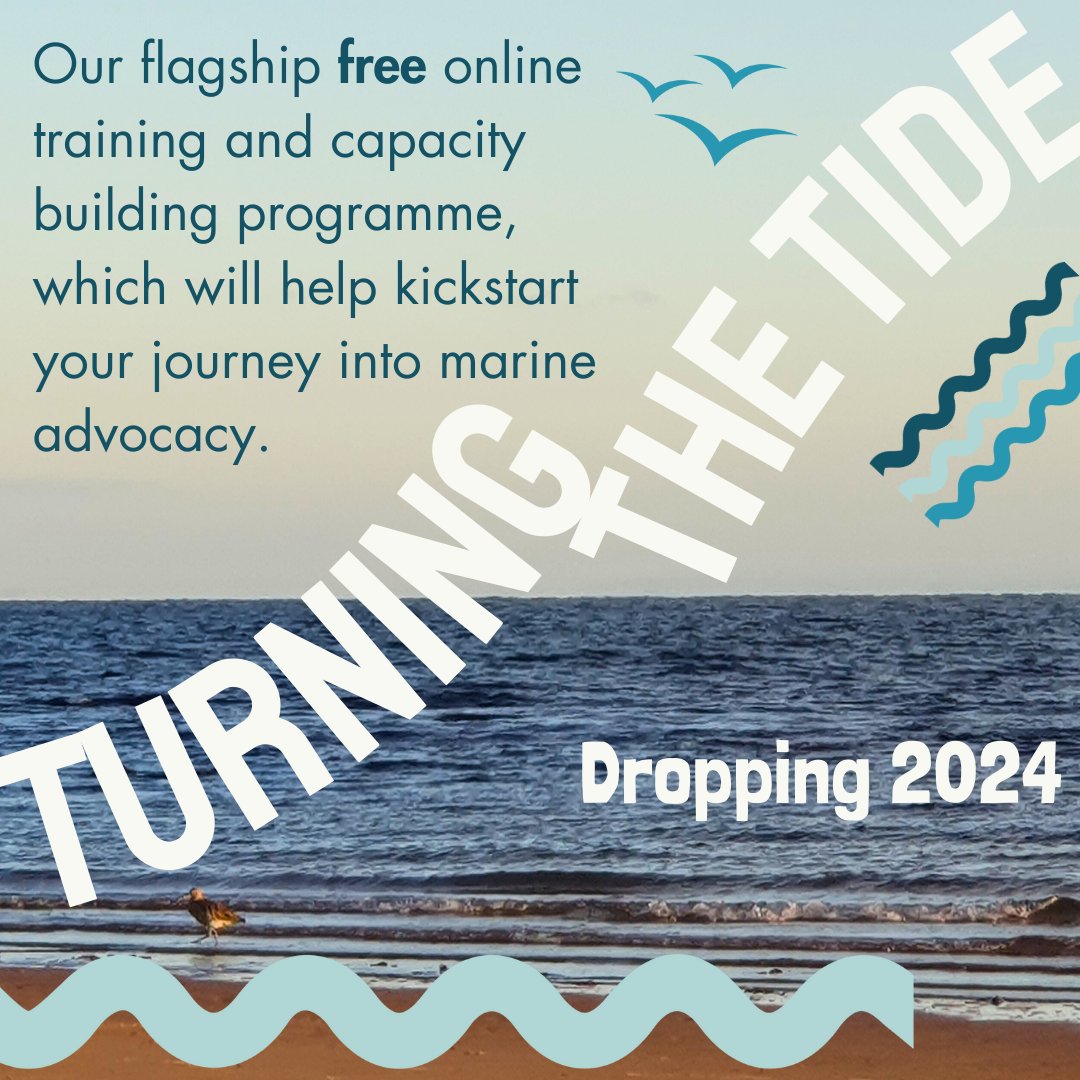 Sneak preview! The winds of 2024 are blowing in and we sense something big coming in the new year...

We are delighted to announce 'Turning the Tide' - our flagship training and capacity building programme will be officially dropping in 2024! 🌊 #youthforseas #turningthetide