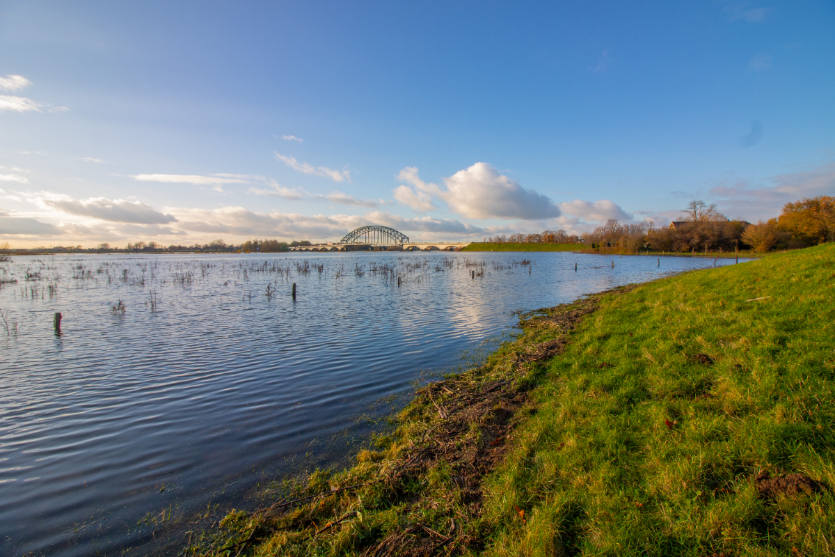 Komende dagen verwachten we veel regen en een harde westenwind. Dat brengt een nieuwe hoogwaterpiek in het vooruitzicht. De grondwaterstanden zijn nog steeds erg hoog. Daardoor reageren de waterpeilen snel op nieuwe neerslag. 👉 bit.ly/3Rypi88