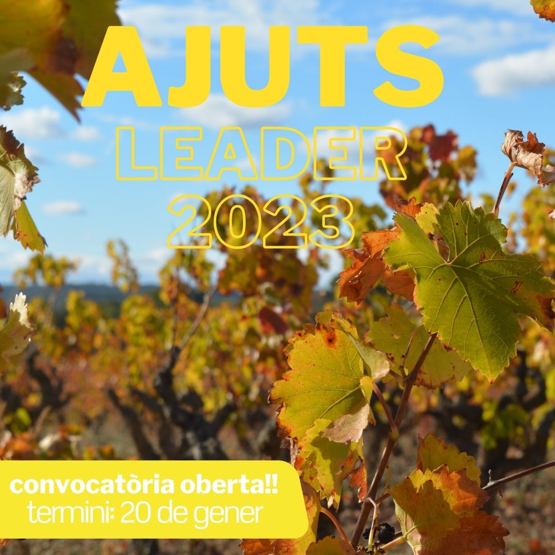 arcaruralcat's tweet photo. 📢 Oberta la convocatòria dels #ajuts #LeaderCat 2023‼️
➡️ Uns ajuts que busquen generar i dinamitzar l'activitat econòmica dels territoris rurals del nostre país.
🗓️ Termini: 20 de gener.
🔗 Més informació a: 
https://t.co/TE5KSrs0qJ

#FuturCompartit #AgendaRuralCat https://t.co/kpljILEACz