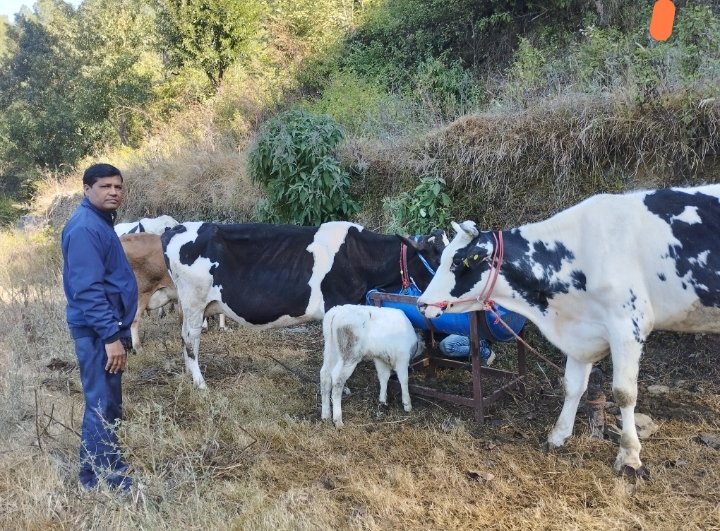 dairyvikas's tweet photo. आज दिनांक 20. 12.2023 को विकसित भारत संकल्प यात्रा कार्यक्रम ग्राम केसुन्दर में विभागीय योजनाओं कार्यक्रमों की जानकारी दी गई साथ ही देहल दुग्ध मार्ग अन्तर्गत ncdc लाभार्थी पशु युनिटो का स्थलीय निरीक्षण मार्ग प्रभारी के साथ किया गया l https://t.co/AIkQHFEbrq