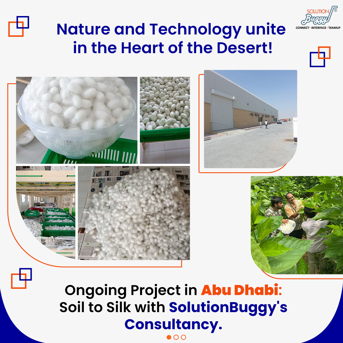 SolutionBuggy's tweet photo. SolutionBuggy Consultancy presents the Soil to Silk #project, a harmonious blend of nature &amp; #technology in Abu Dhabi. Want to make your manufacturing dreams a reality? Start with #SolutionBuggy, India's Leading #Manufacturing Consulting Platform!
#business #projectconsultation https://t.co/MDcyHwCMiK