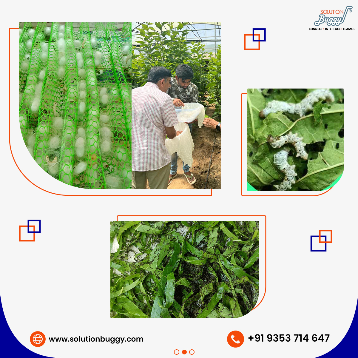 SolutionBuggy's tweet photo. SolutionBuggy Consultancy presents the Soil to Silk #project, a harmonious blend of nature &amp; #technology in Abu Dhabi. Want to make your manufacturing dreams a reality? Start with #SolutionBuggy, India's Leading #Manufacturing Consulting Platform!
#business #projectconsultation https://t.co/MDcyHwCMiK