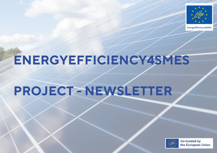 Looking for something to read during the Holiday?

Check out the EE4SMEs biannual Newsletter!
- Surveys
- Reports
- Updates 
- &amp; much more! 
➡bit.ly/EE4SMEsNews1
