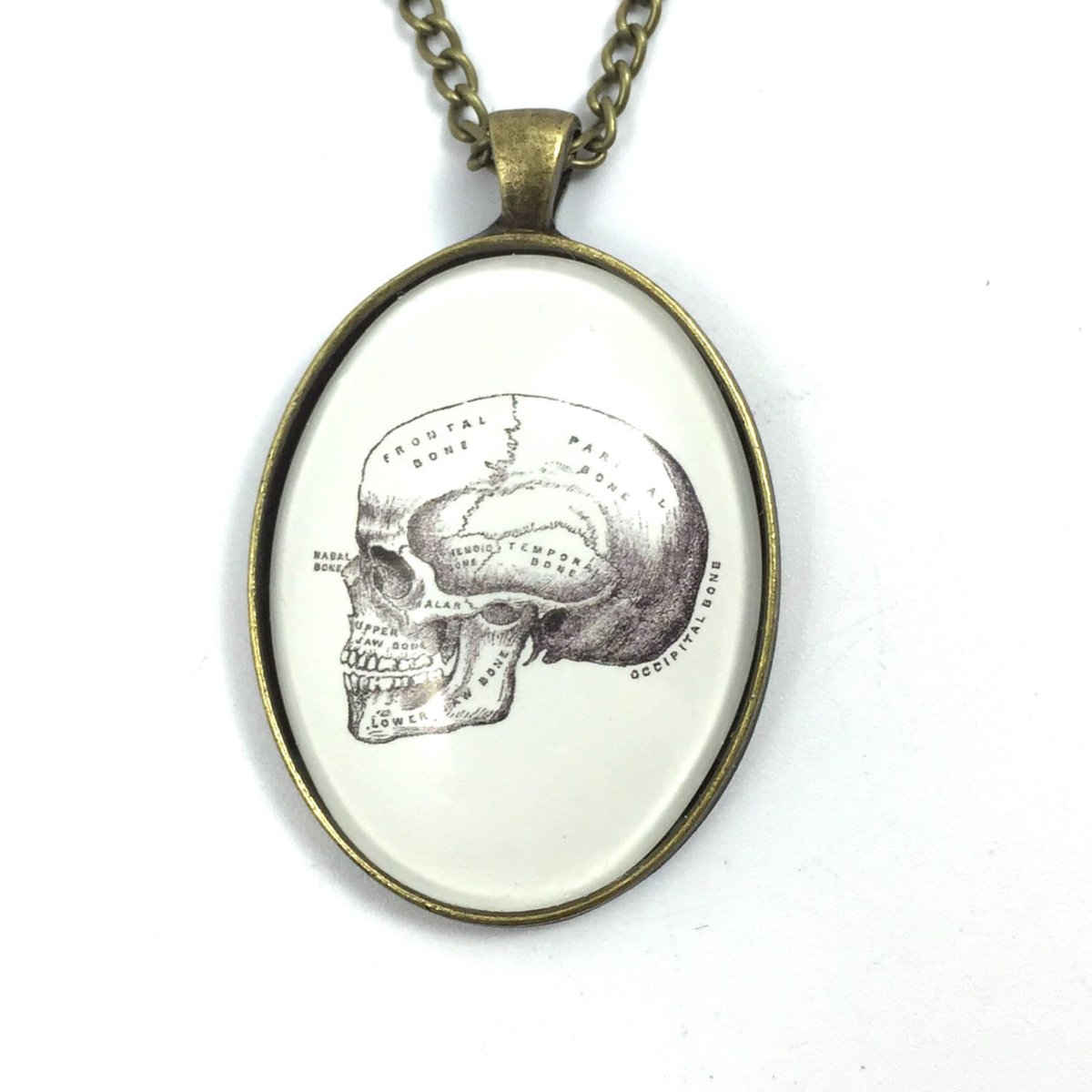 goblindreams's tweet photo. Skull Necklace - Vintage Anatomy Book #gift #necklace 
Buy here https://t.co/n89nLvS2Wf https://t.co/VH5Pw7kLJ1