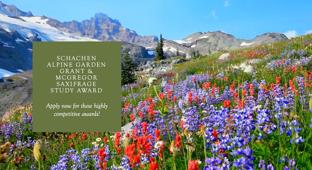 We are pleased to announce that two more Merlin Trust awards are now open for applications. The Schachen Alpine Garden Grant and the McGregor Saxifrage Study Award are accepting applications. Apply by 19th February!

merlin-trust.org.uk/available-gran…