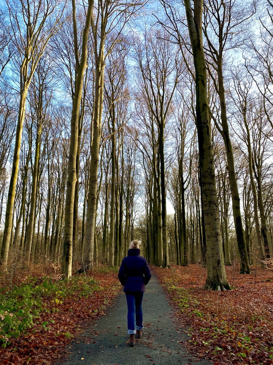 SandyHaest's tweet photo. Schilde 20 december 10u06 #vrtweer #natuurpunt #schilde #boswandeling https://t.co/Um7Vve0Qyy