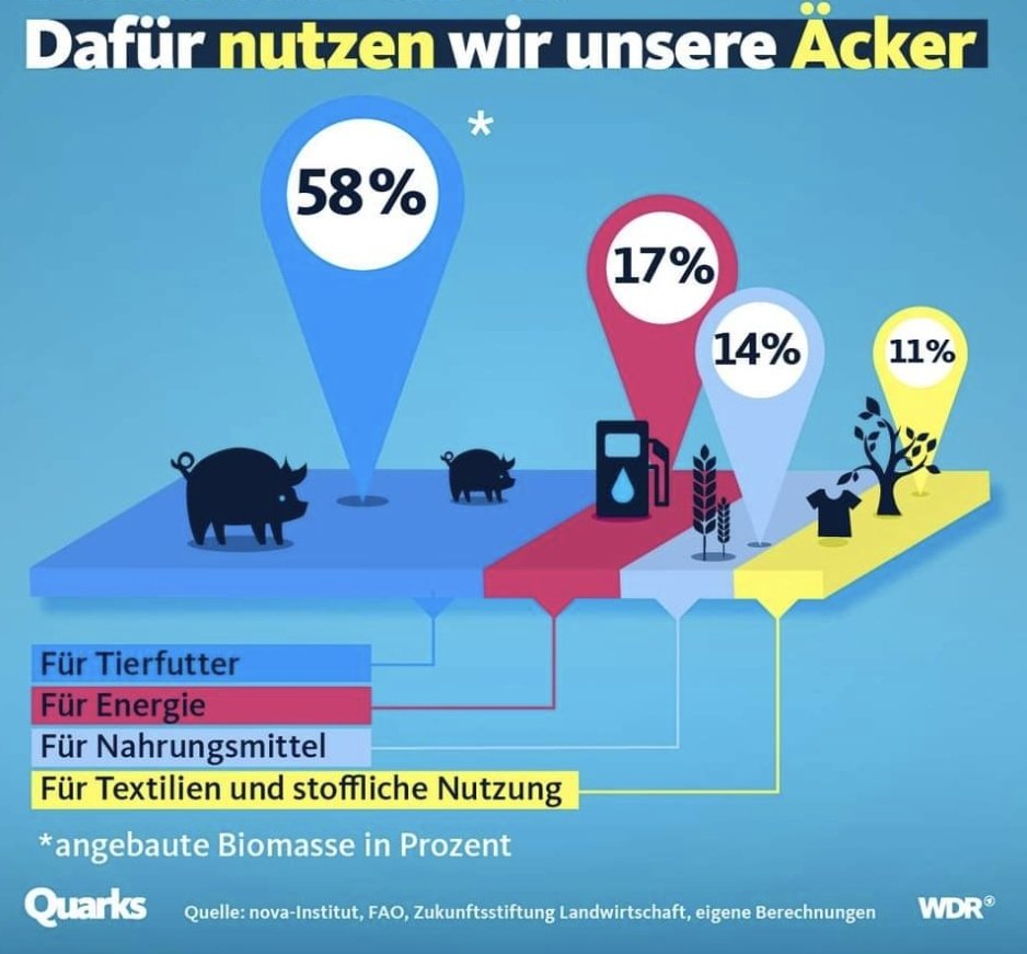 𝙎𝘼𝙆𝙄 🗯 tweet media