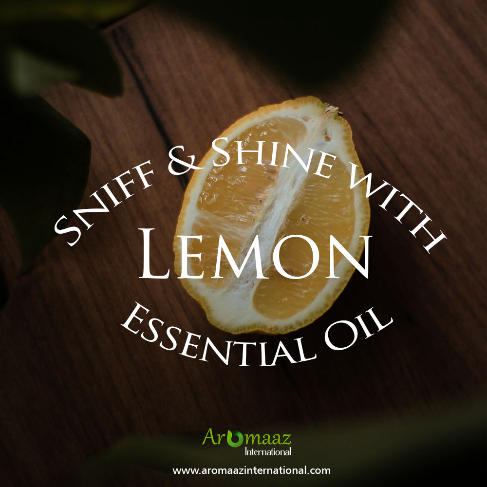 AromaazIntl's tweet image. 🌟 Sniff and Shine with Lemon Zest: 🌟

Unleash the invigorating aroma of lemon that will kick those Monday blues to the curb!
For more info: aromaazinternational.com/natural-essent…

#LemonLove #EssentialOilMagic #SniffAndShine
#lemonessentialoil #sniffandshine