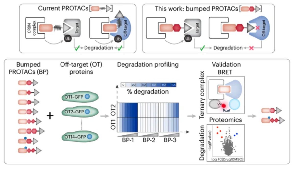 Sreekanth Vedagopuram tweet media