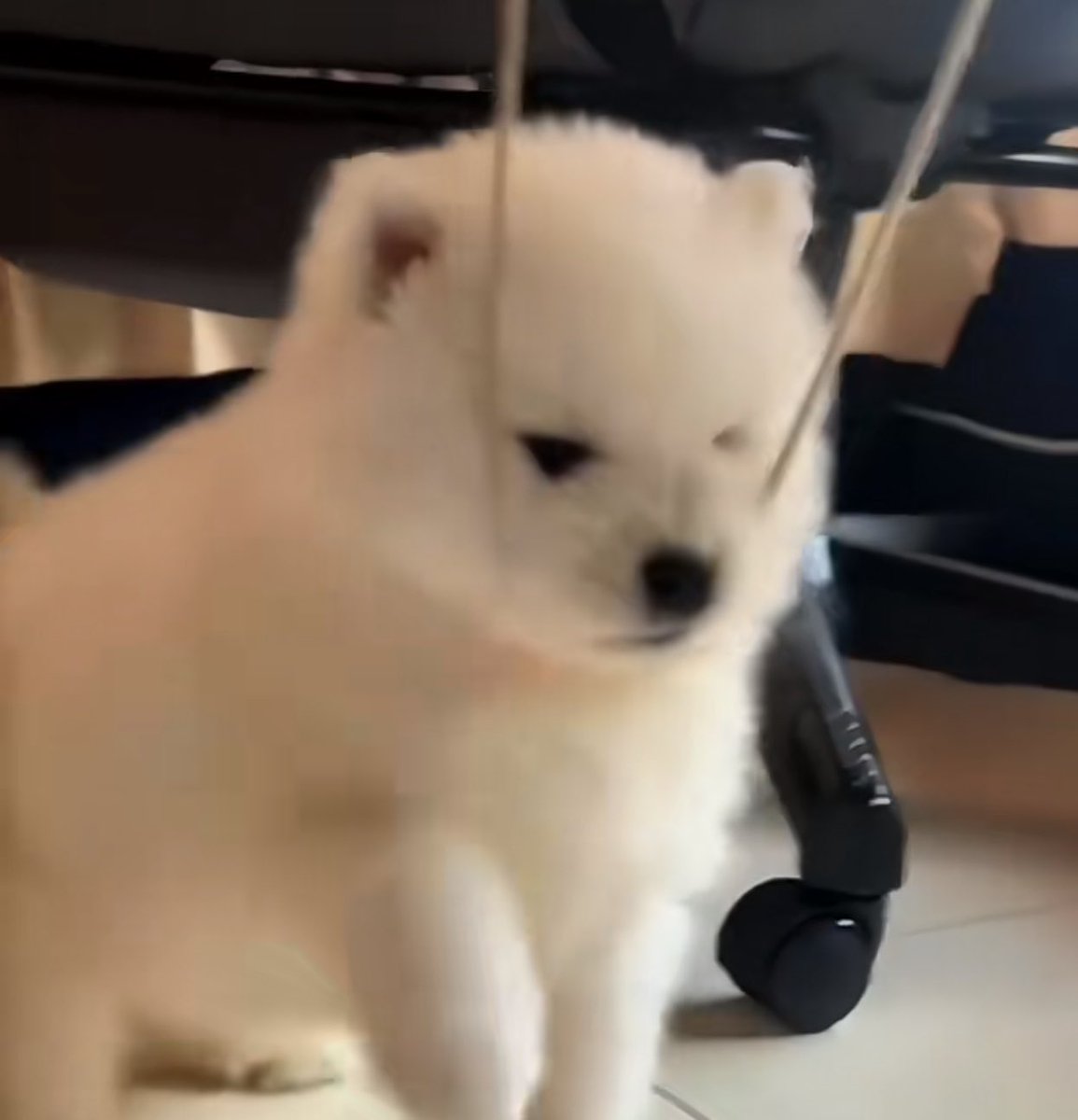 วายร้ายอย่างฉัน ไม่อ่อนแอให้คัยเหน