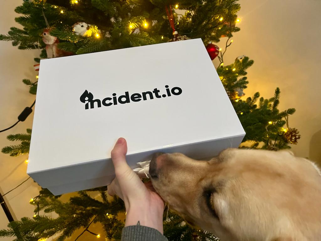 🎄This is the perfect Christmas present for @labradorarkady -- thank you so much @incident_io 🔥 * I had to use treaties so she leaves the toy alone for the photo 😆