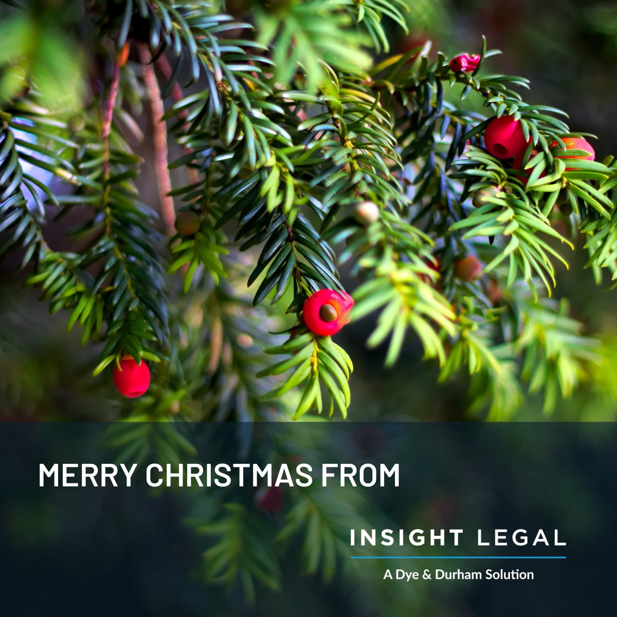 🎄 From all the team at Insight Legal, we wish you a very happy &amp; healthy Christmas 🎁

🕓 The Insight offices will be closed from 4pm on Friday 22nd Dec
🎧 Normal support hours of 09.00 - 17.30,  27th, 28th &amp; 29th Dec
🕘 The Insight offices will be open as usual from 2nd Jan