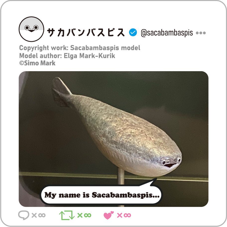 ROUND1_AMPRIZE's tweet photo. ╭━━━━━━━���━━━━╮
　2023年話題沸騰（◉▽◉ ）
╰━━ｖ━━━━━━━━━╯
╋━━━━━━━━━━━━━
　初・公式ライセンス プライズ🌟
　　━━━━━━━━━━━━━╋

#サカバンバスピス MEGAぬいぐるみが
#ラウンドワン限定プライズ として大好評登場中です！！ https://t.co/R2VV4eNOUw