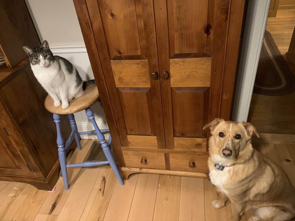 Unfortunately a different dog but the tradition continues of having 2 best friends at 5am every morning while I make my lunch.<a href="/DogsOfTurf/">Dogs Of Turf</a>