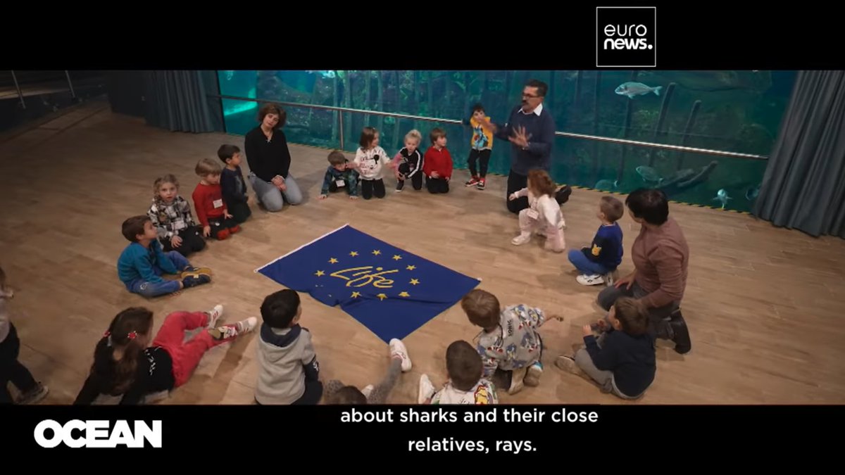 LifeEUsharks's tweet photo. #EuropeanSharks are silently struggling to survive. A great feature on @euronews on how @LifeEUsharks researchers and volunteers are protecting #sharks and rays. Tks @Loctier! #EU4Oceans #LivingTogether #EUBiodiversity #EUSharks #savesharks🔗 https://t.co/czeSP4RFCm https://t.co/uxGZBFamQd