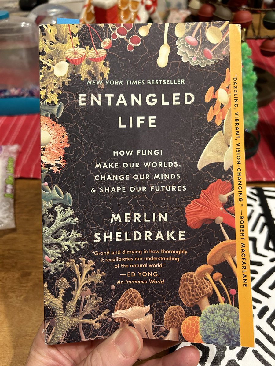 knowKMD's tweet photo. Can’t wait to think aloud/listen in with my #purposelearning teachers think about mycelium. 

Seriously, y’all. https://t.co/c608cl1v56