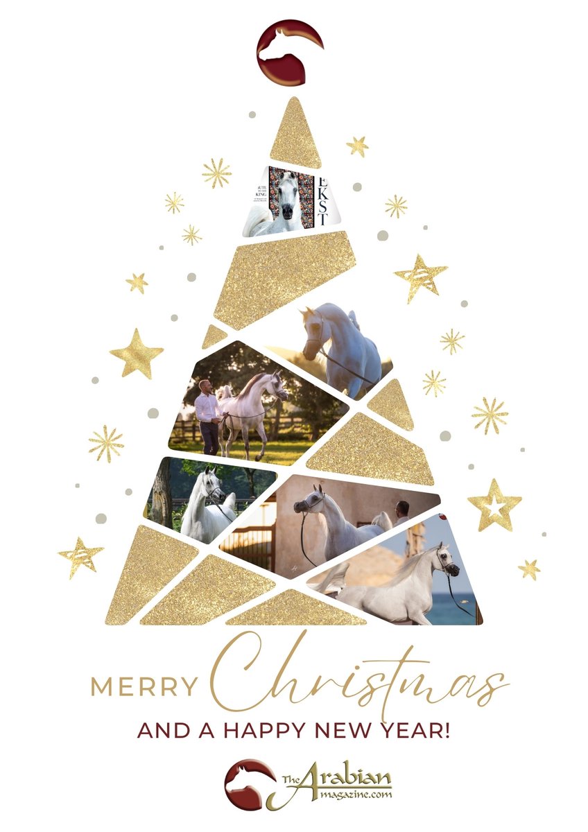 TheArabianMag's tweet photo. Merry Christmas and a Happy New Year from all at The Arabian Magazine.

Thank you for your support this year - and most of all, thank you to the horses in our lives, who give us so much.

Samantha &amp; team xxx https://t.co/r29rzp6u2r