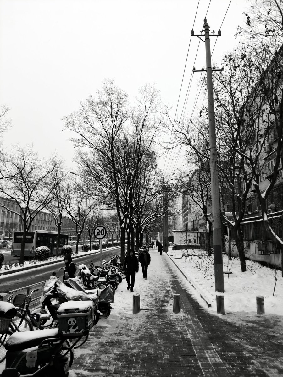 zmiki2000's tweet photo. snow🤧 https://t.co/6DiRqeFhks