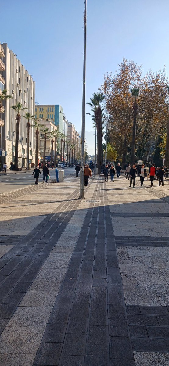 Çinardan herkese merhaba