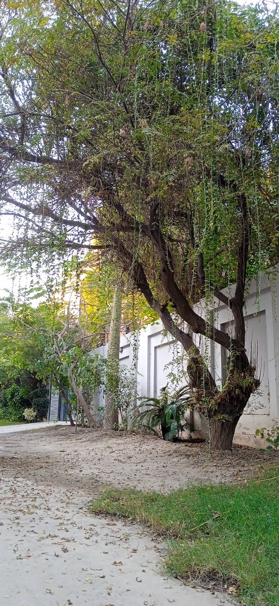 Like after every fall 🍂 A spring 🌱 comes there will come good days 
GM Enjoy the winter and holidays