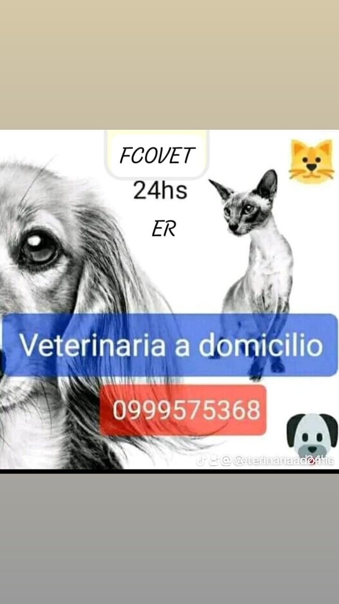 Atención médica especializada para sus mascotas 🐶😸🐰🐷🐴🐦 0999575368
#promocion #vacunas #desparasitacion #veterinaria #Veterinarioguayaquil #pet #caninos #vacunacion #consultaveterinara #serviciosveterinarios #perros #perritos #gatos #gatitos #guayaquilcity