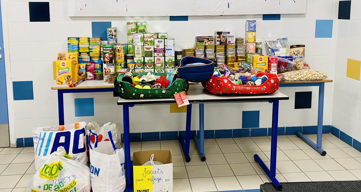 LemaCatherine1's tweet image. Solidarité.🎄
Bravo et merci aux élèves et familles du ⁦@CollegeLeotard⁩ de ⁦@VilleDeFrejus⁩ pour les dons en faveur du refuge ⁦canin #AVSA .⁦@FBB_Officiel⁩ ⁦@SPA_Officiel⁩ ⁦⁦@Varmatin_Hyeres⁩ ⁦@AcademieNice⁩