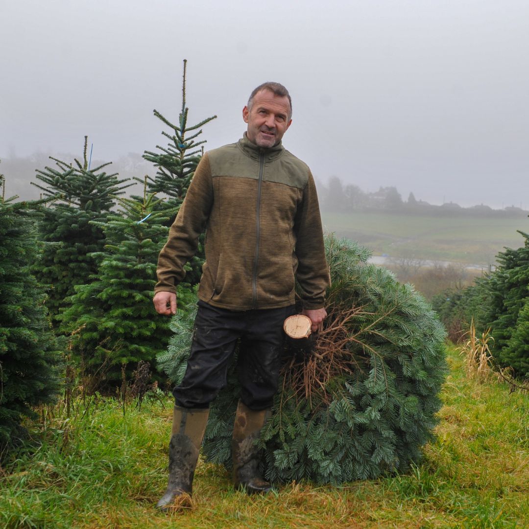 NFUCymru's tweet photo. Gower farmer, Rob Morgan, provides tree-mendous Christmas experience.

Read all about his Christmas tree venture: https://t.co/2JkDZ76MNC https://t.co/56jyI1vZzs