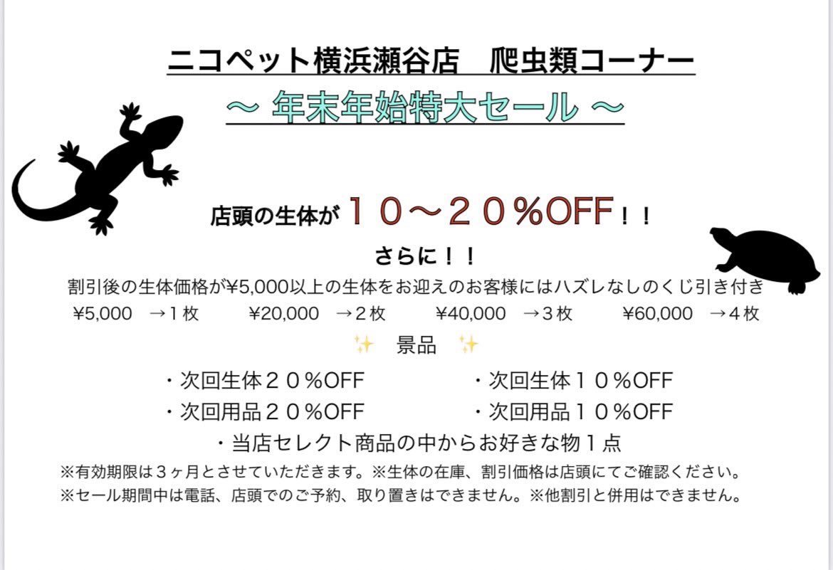 #ニコペット横浜瀬谷
#爬虫類　#トカゲ　#パイソン
#亀　#年末年始セール