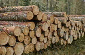 A new ambitious roadmap to increase use of timber in the construction of homes and buildings has been set out by government in a move designed to reduce emissions and reach net zero. 

gov.uk/government/new…