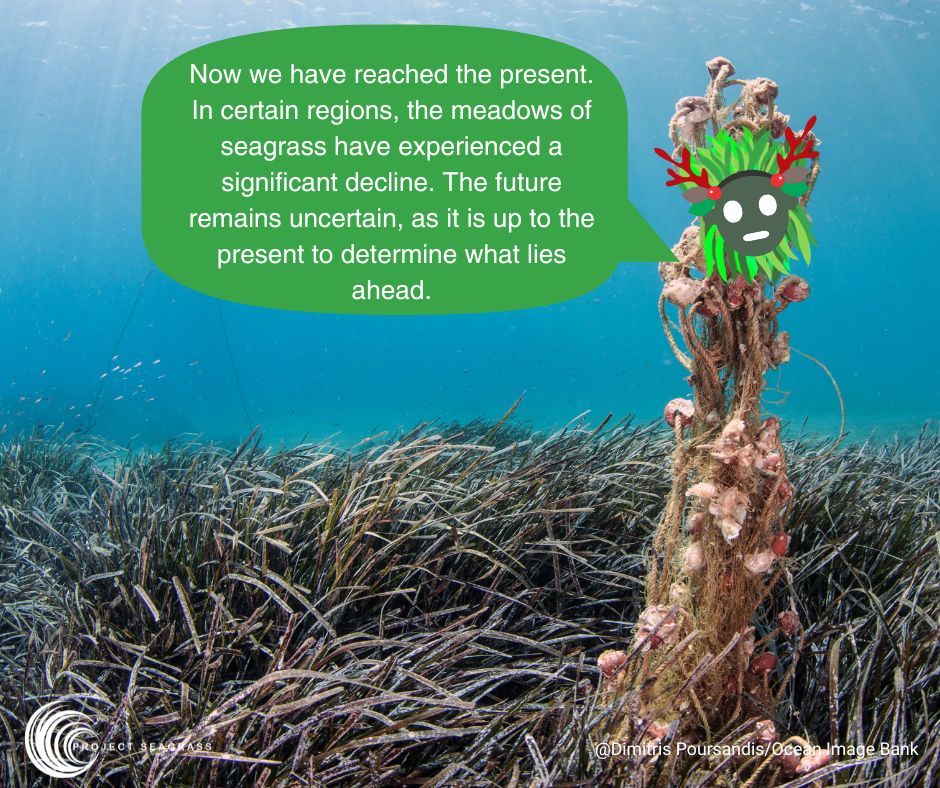 Welcome back to day two of Seagrass Past! Today, we'll explore the intriguing relationship between humans and seagrass and uncover its diverse historical uses. Don't miss tomorrow's Seagrass present! #SeagrassHistory #HumansandSeagrass #HistoricalUses