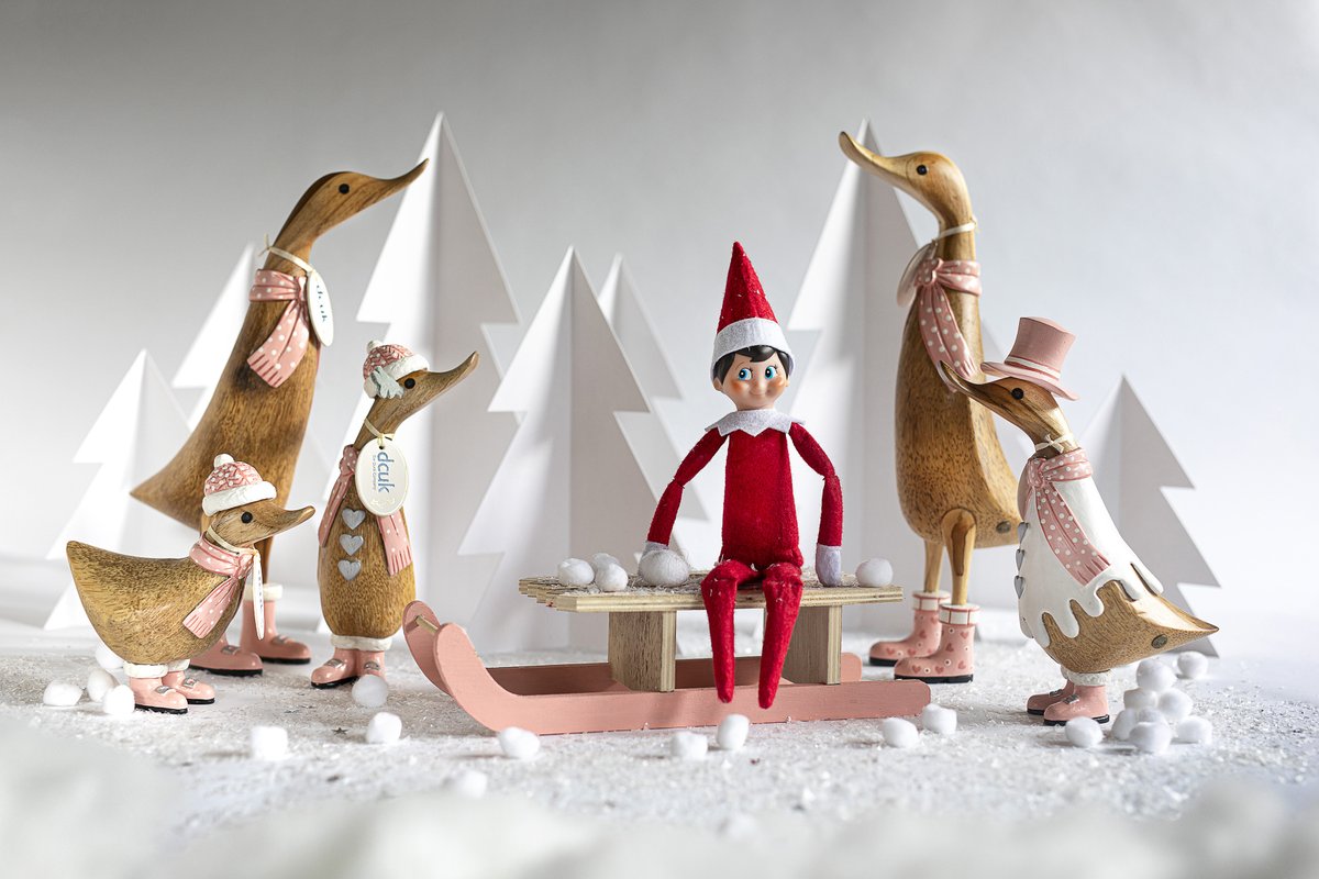 Our Nordic Blush ducks &amp; ducklings just LOVE playing out in the snow, so they were more than happy when the naughty elf suggested a snowball fight! 

#christmas