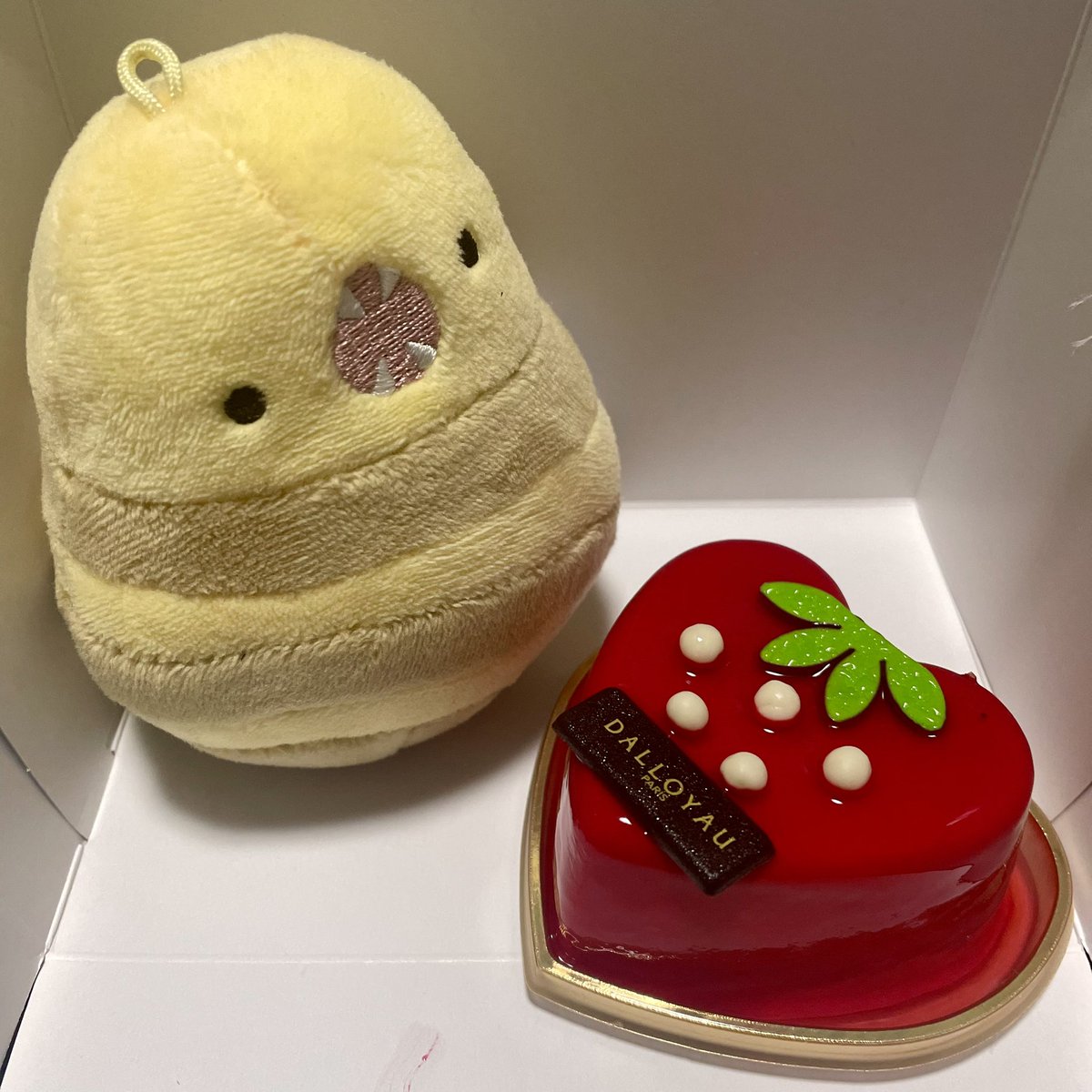 choco_ton's tweet photo. かわいいケーキはかわいい子と撮らなければならぬ☺️ https://t.co/b8bzzzctfX