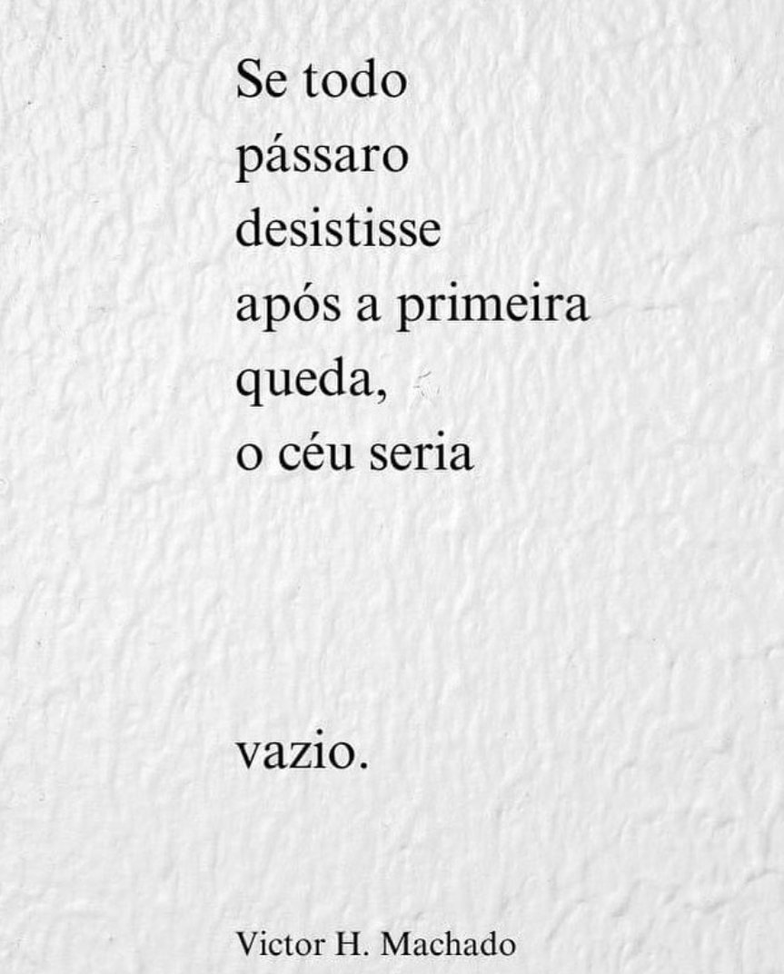 Fernanda Barreto (@nandab1002) on Twitter photo 