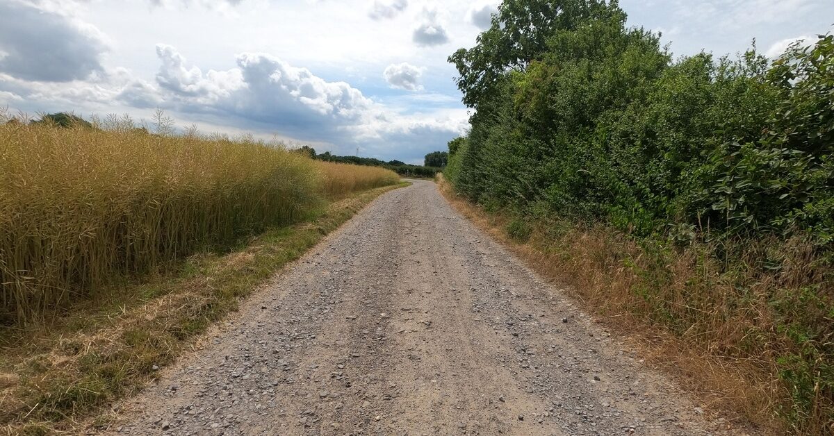 Wirtschaftswege unter der Lupe: Ihre Anregungen sind gefragt! Die Gemeinde Kreuzau erarbeitet derzeit ein Konzept für Ihre Wirtschaftswege. dlvr.it/T0NZ4v