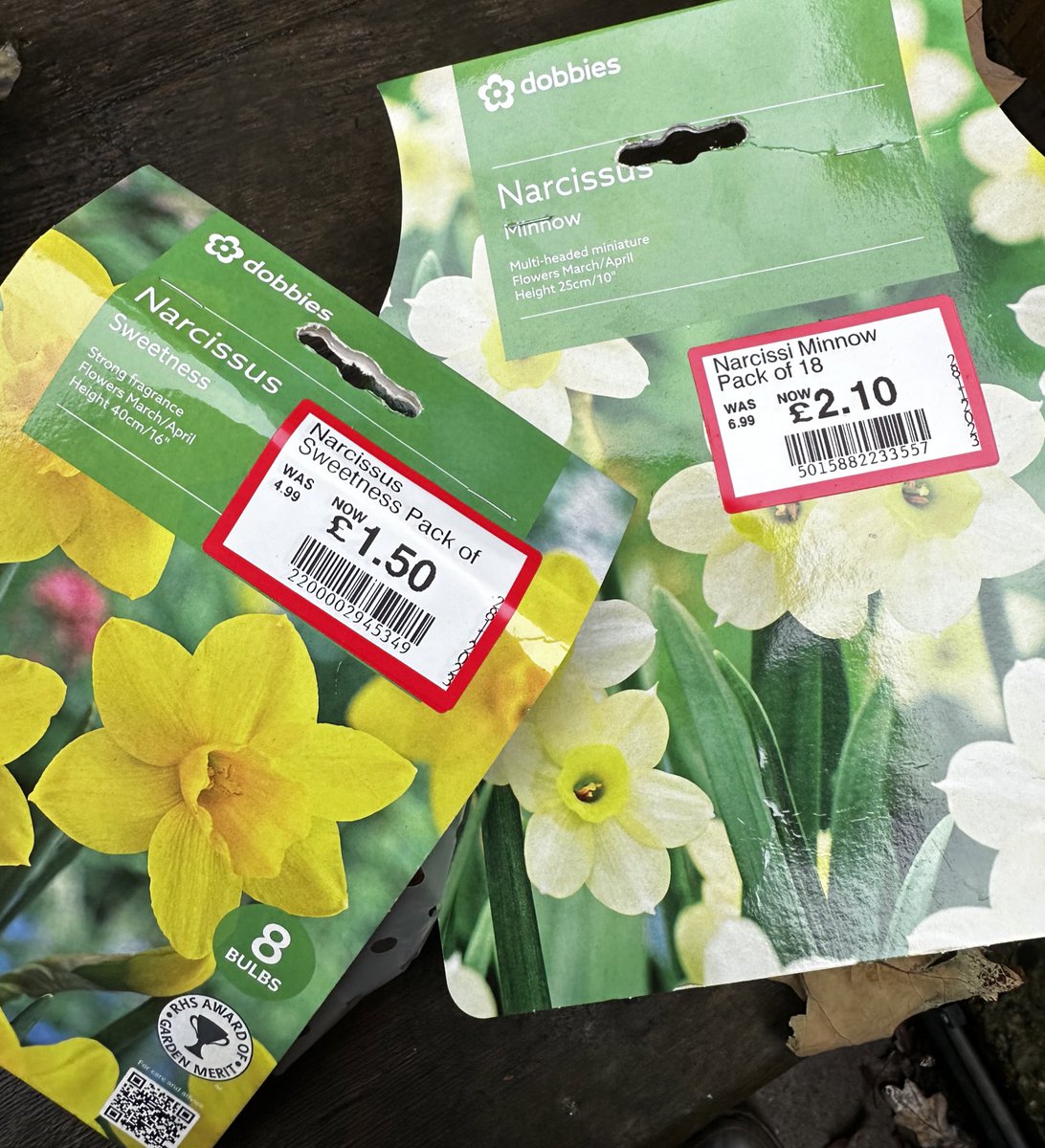 Many of us in the #gardeningx community are plant bargain hunters. With my dobbies card one of these was 50p and the other £1.00 and they’ll still come through in spring (some maybe blind but not the following year). You can get away with planting them up to Jan!